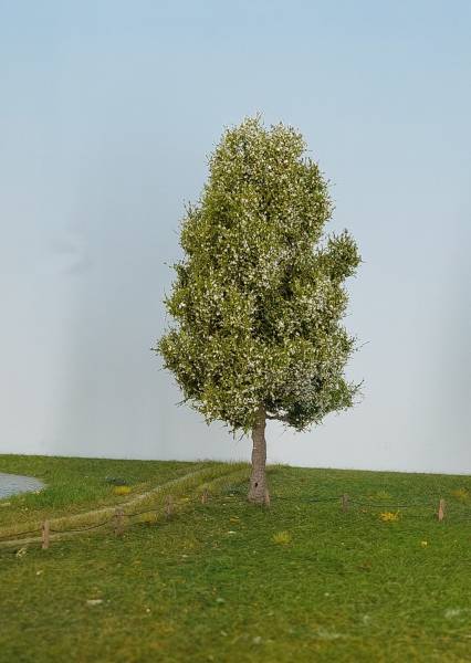 Pear tree spring Profi